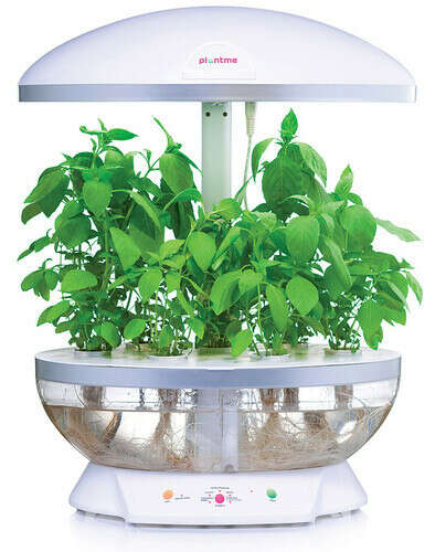 Домашний огород Plantme - автоматическая система для зелени, салатов, овощей и цветов.