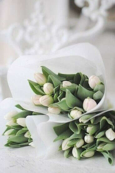 Белые тюльпаны.Кучу