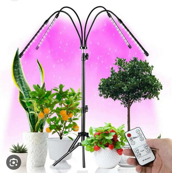 Фотолампа для комнатных растений