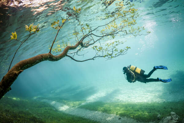 Зеленое озеро (Grüner See) в Австрии. Подводный парк