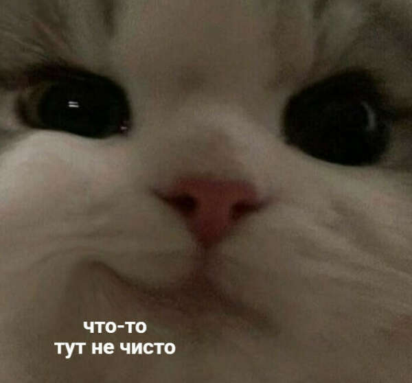 ненормального кота