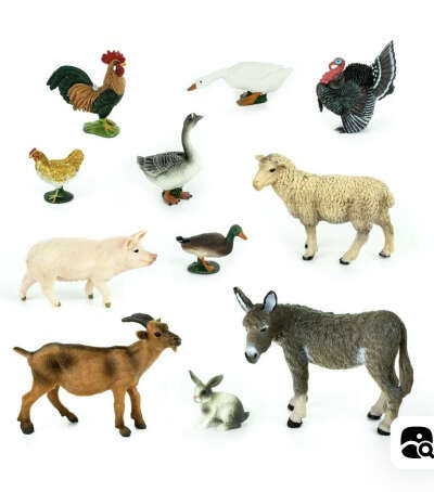 Derri Animals Набор №1 Домашние животные фермы