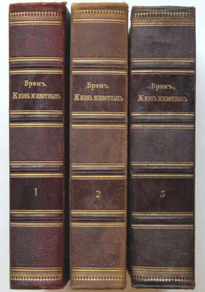 "Жизнь животных" Брэма 1890-1910 гг. издательства