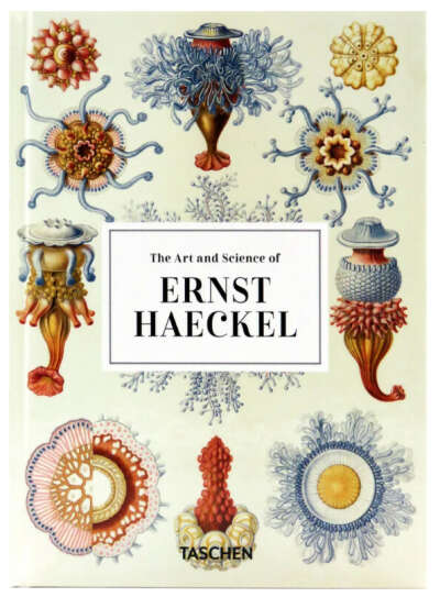 The Art and Science of Ernst Haeckel. 40th Ed. | Willmann Rainer