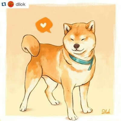 Щенок Shiba Inu