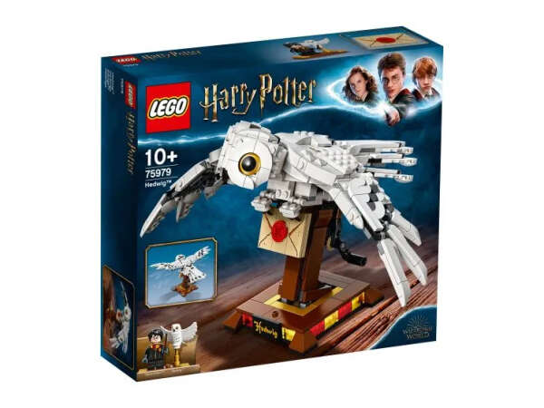 LEGO Harry Potter 75979 - Букля