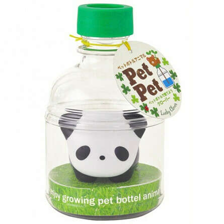 Набор для выращивания клевера самополивающийся Pet Pet панда