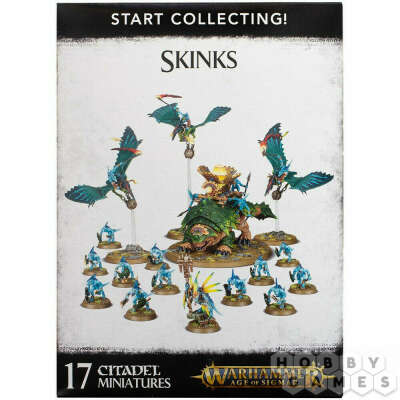 Start Collecting: Skinks