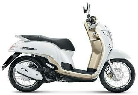 Honda Scoopy