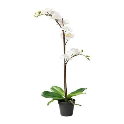 ФЕЙКА Искусственное растение в горшке - IKEA