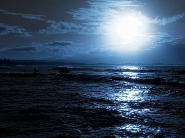 Swimming in the sea at night