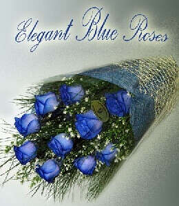 Elegant blue rose