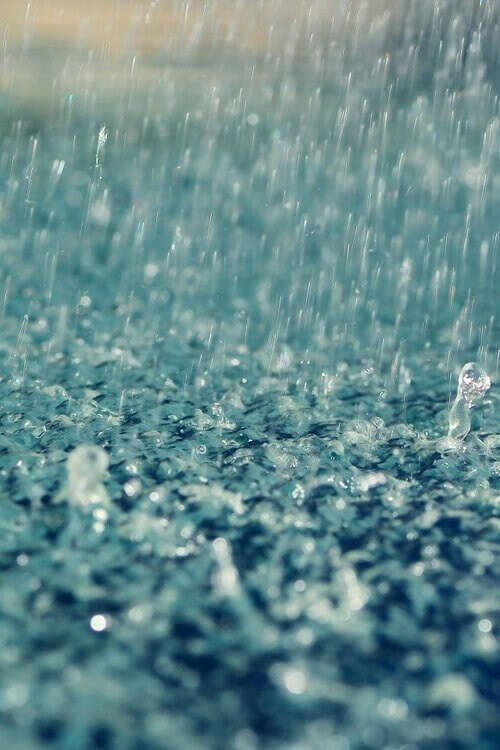 Rain