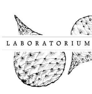 Сертификат в laboratorium