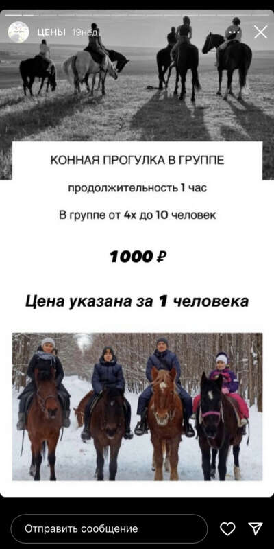 Конная прогулка