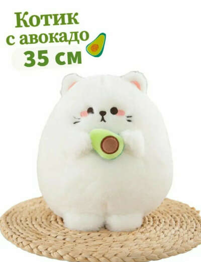 Котик с авокадо 🥑