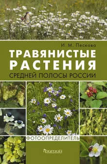 травянистые растения средней полосы россии
