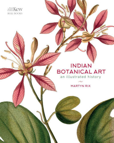 Indian Botanical Art: an illustrated history