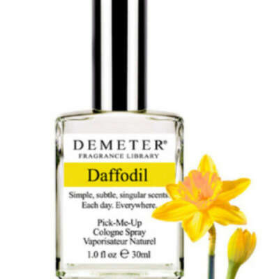 Demeter daffodil