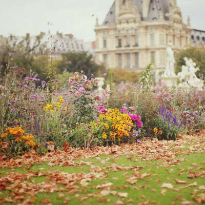 Сад Tuileries в Париже