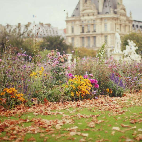 Сад Tuileries в Париже
