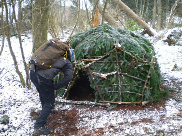 Build a wild hut