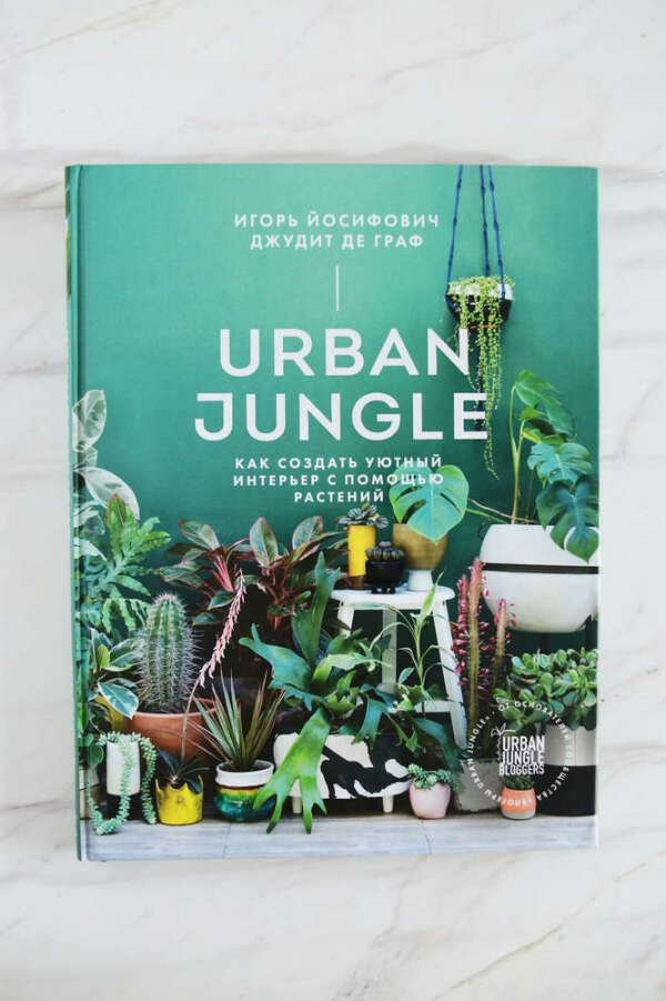 Urban Jungle. Как создать уютный интерьер с помощью растений