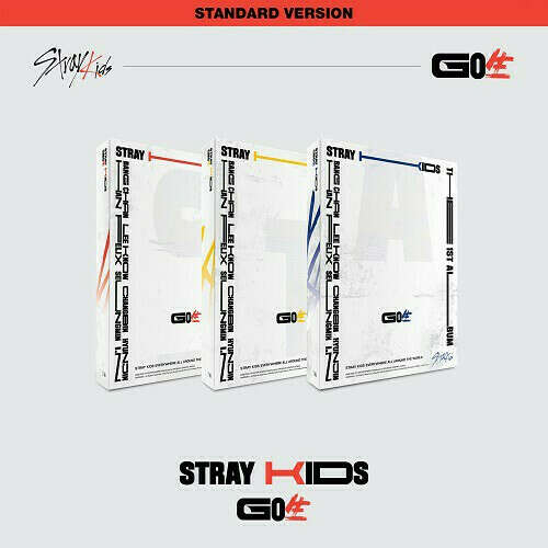 Альбомы Stray Kids — GO LIVE standard