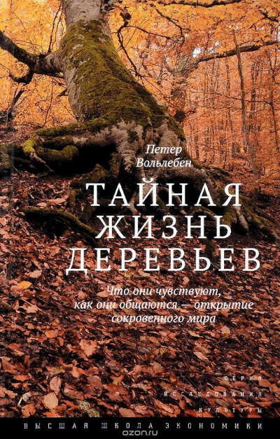 Тайная жизнь деревьев. Что они чувствуют, как они общаются? Открытие сокровенного мира