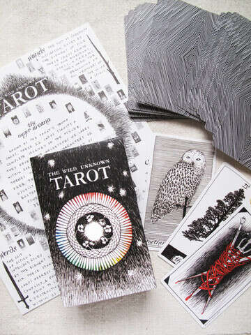 TAROT  illustrated by Kim Krans