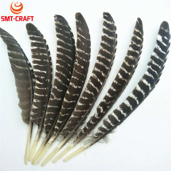 bird feathers 20-25 cm 10 pcs;