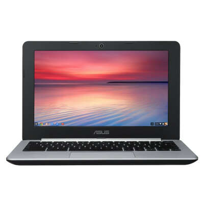 Asus Chromebook C200MA-KX003 for writing
