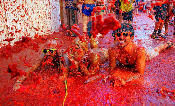 посетить La Tomatina Festival 2017