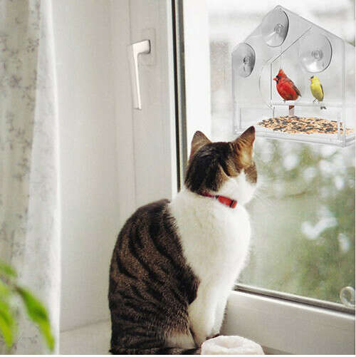 Window Bird Feeders Hot Sale Clear Glass Window Viewing Bird Feed Hotel Table Seed Peanut Hanging Suction For Pet Bird