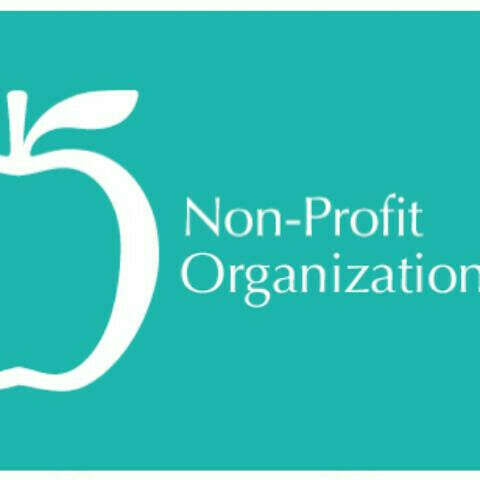 Открыть свою организацию (Start a NON-PROFIT organization)