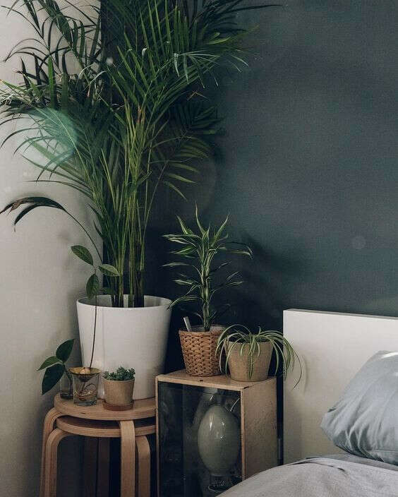 Botanical bedroom