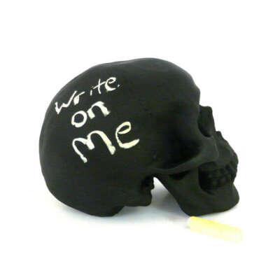 Homo Sapien Chalkboard Skull – The Colossal Shop