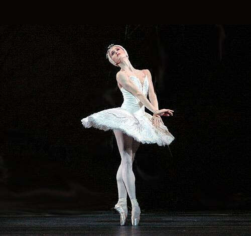 swan lake