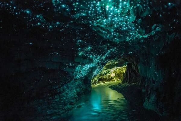Побывать в пещере святлячков в Новой зеландии