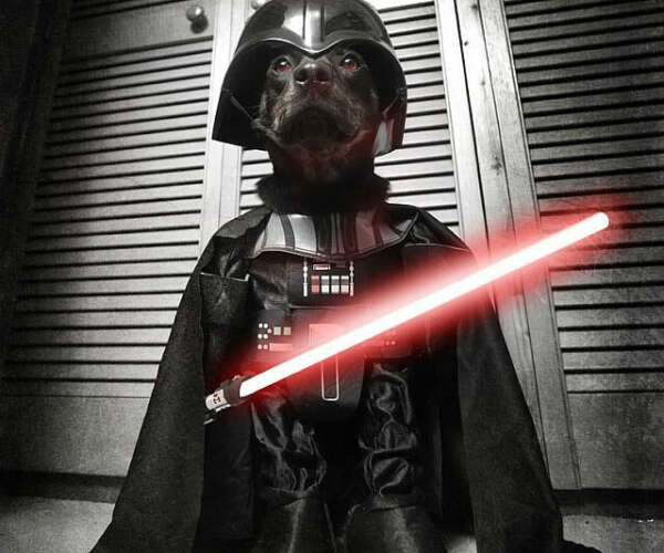 Darth Vader dog costume