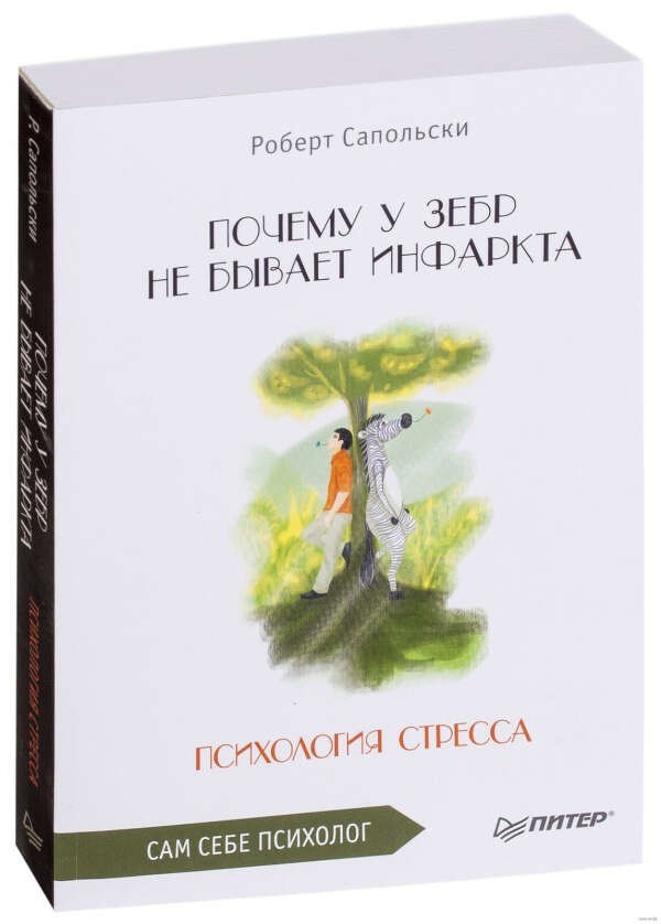 Почему у зебр не бывает инфаркта. Психология стресса - на OZ.by