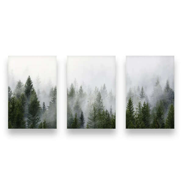 Постер WallPrintStory "Туманный лес", 40 см х 30 см