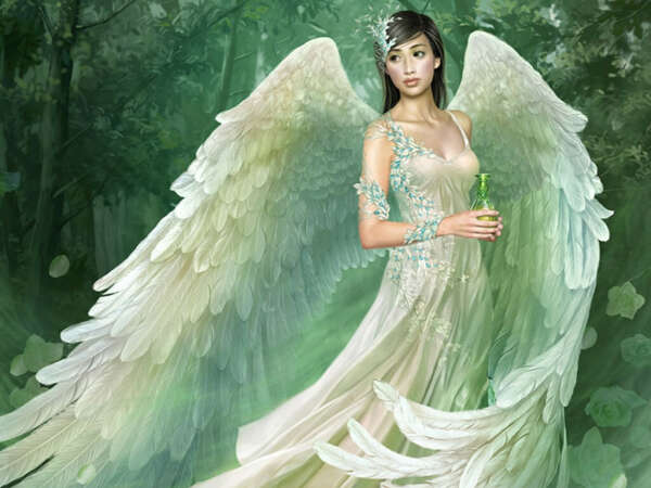 Angel Wings