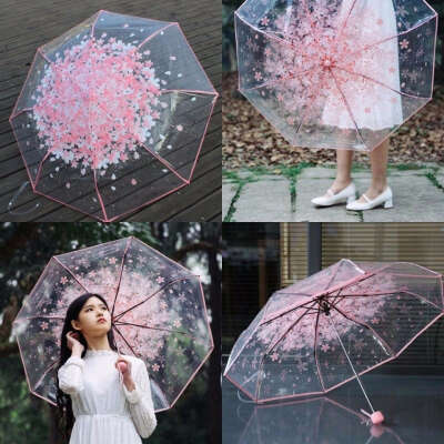 Прозрачный зонт с сакурой