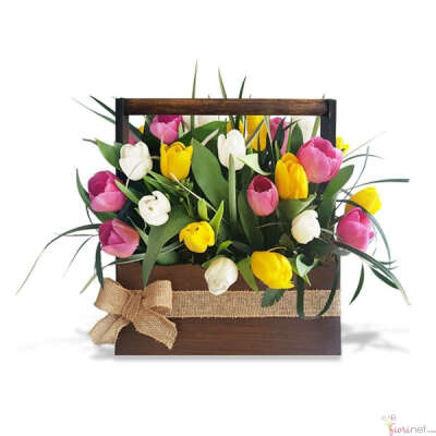 Tulip Box