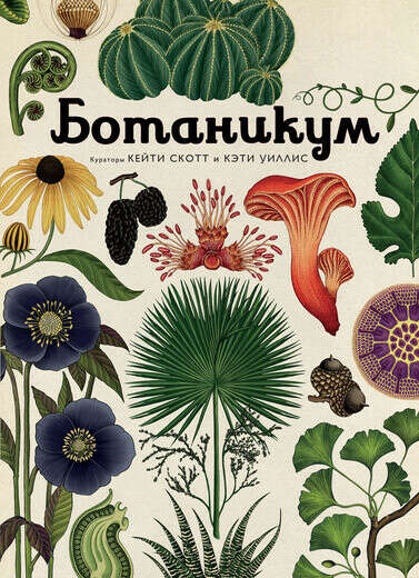 Книга "Ботаникум" К.Скотт и К.Уиллис