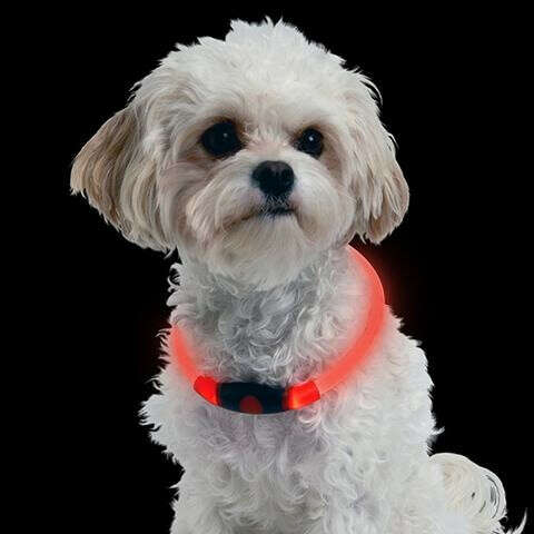 PET GLOW LIGHT PATTERN COLLAR BUCKLE ADJUSTABLE FOR NIGHT SAFETY COLLAR