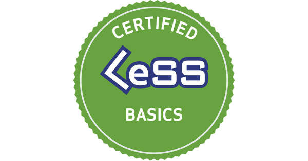 Курс Certified LeSS Basics