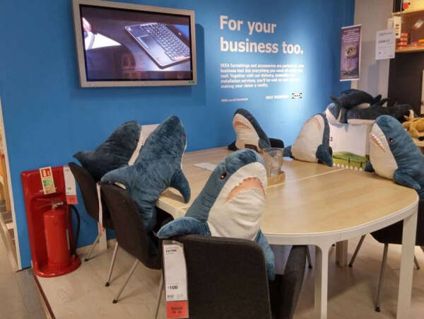 Ikea shark