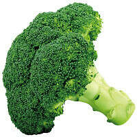 Buy Online Broccoli at Rs.98/-